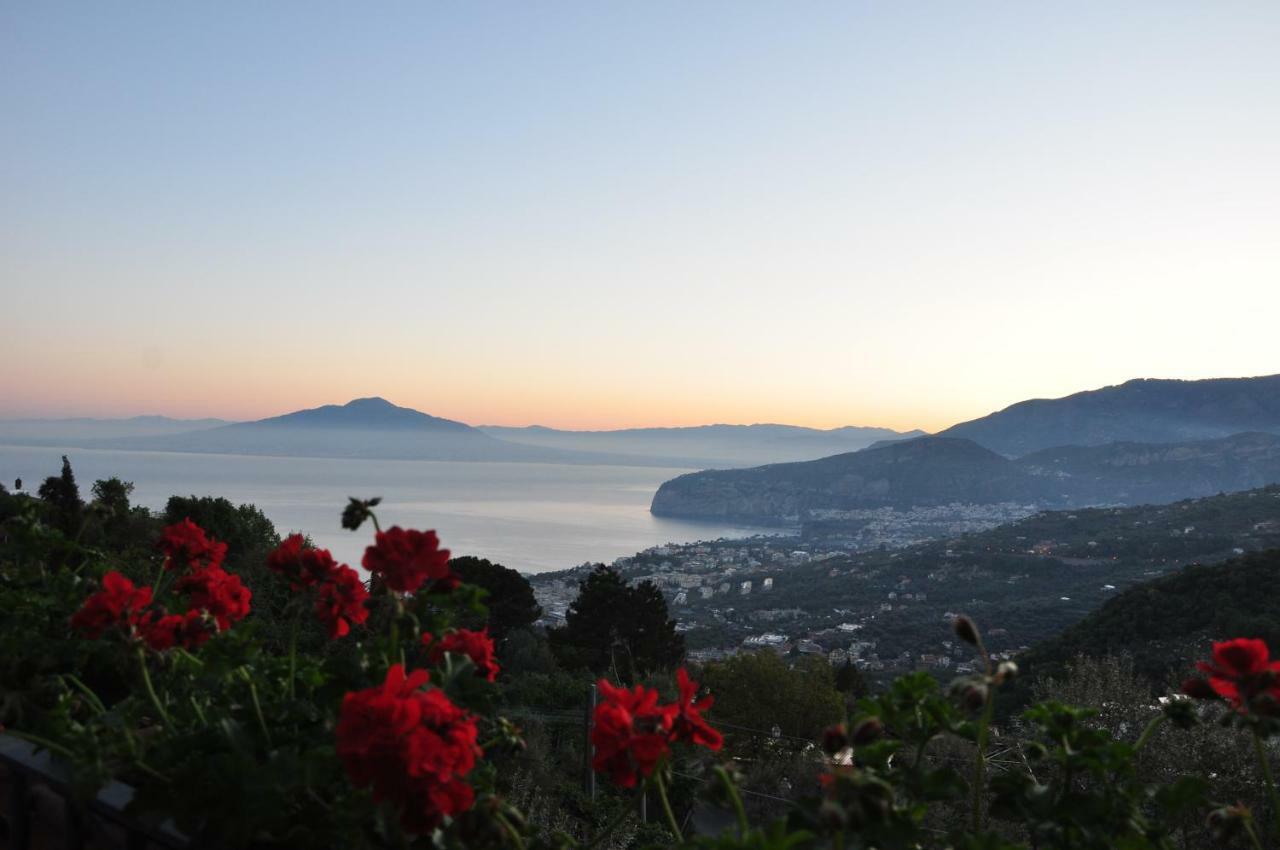 Casa Gaia Sorrento Bio Vacanze Exterior foto